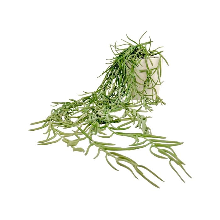 UN-REAL 55cm Green Hoya Linearis Artificial Plant