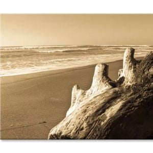 Old Log Driftwood Washed Up on Beach  Print 100% Australian Made 120 x 90cm  (Stretched)