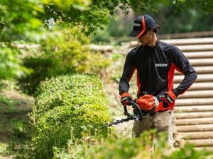 Person trimming a garden hedge with a hedger.