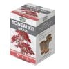 Mr Fothergill's Maple Bonsai Kit - Maple