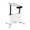 Everfit Exercise Bike Magnetic Desk Bike with Tabletop Fitness Home Workout Gym