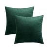 Catzon 2 Pcs Square Throw Pillow Covers Solid Soft Velvet for Spring Sofa-Dark Green