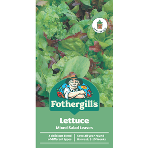 Fothergill's Lettuce Mixed Salad Leaves Vegetable Seeds
