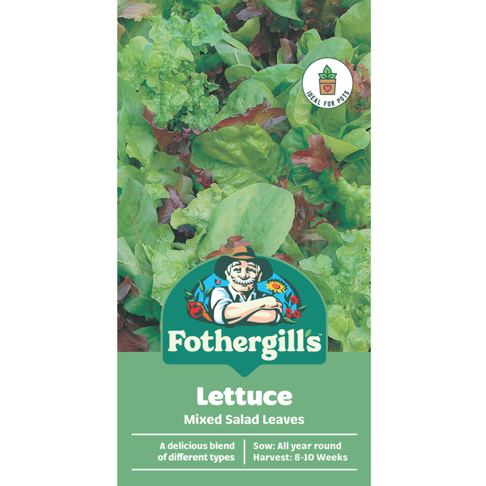 Fothergill's Lettuce Mixed Salad Leaves Vegetable Seeds