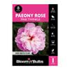 Bloomin' Bulbs Paeony Rose Pink Twinkle 1 Pack