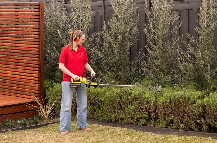 Trimming the hedges with a Ryobi hedge trimmer