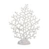 Maine & Crawford 7 Seas Large 39x16cm Fan Finger Coral Home Desk Decor White