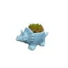 60mm Succulent Dinosaur Ceramic