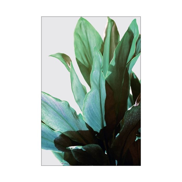 Artey | Green Leaves I - Stretched Canvas - Stretched Canvas - 60 x 90cm
