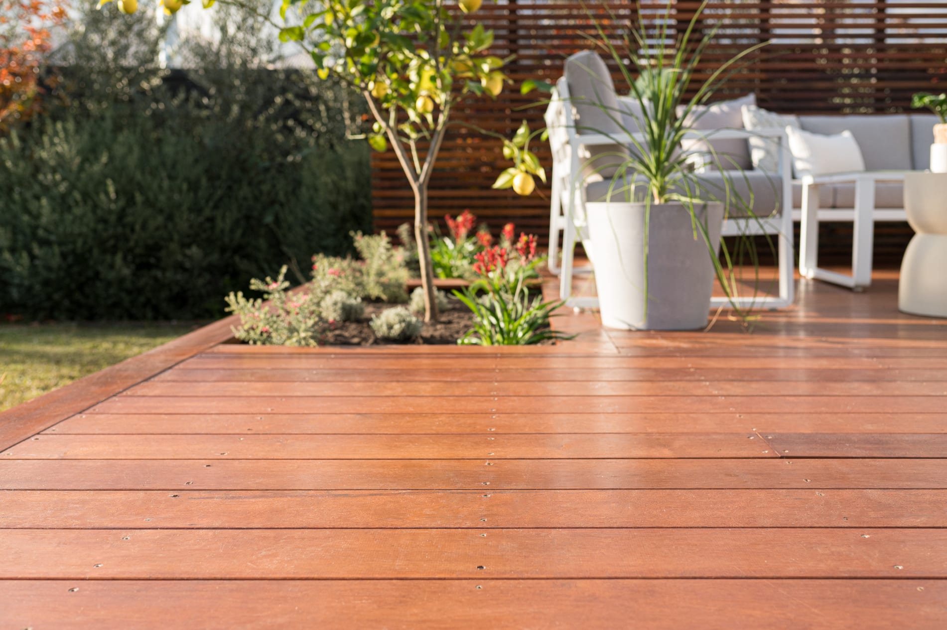Kwila Decking Timber | SpecRite