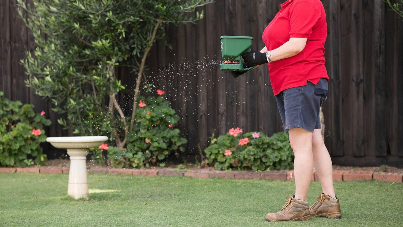 A person is using a hand held fertiliser spreader to spread fertiliser