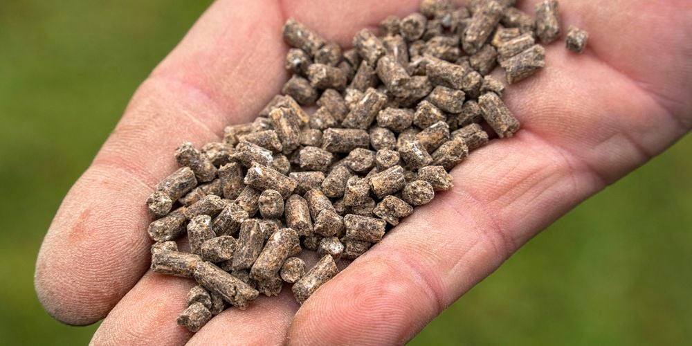 Charlie Carp All Purpose Pellets 2962286