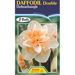 Daffodil Delnashaugh - 5 Bulbs
