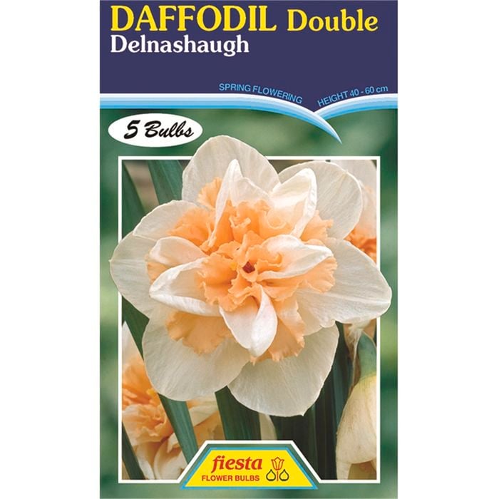 Daffodil Delnashaugh - 5 Bulbs