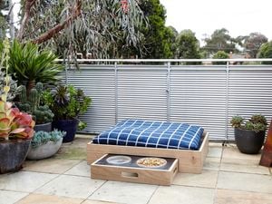 A completed dog feeding station in situ