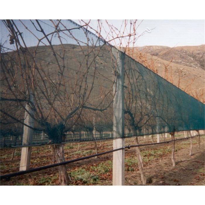 Coolaroo Windbreak Plus 1 x 1m per mtr Green