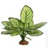 Reptile One Brandtianum Plant With Resin Base