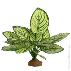 Reptile One Brandtianum Plant With Resin Base