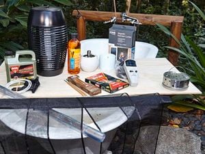 An assortment of insect control products