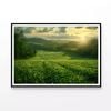 Green Field with Sun Rays  Print 100% Australian Made 90x60cm  (Poster)