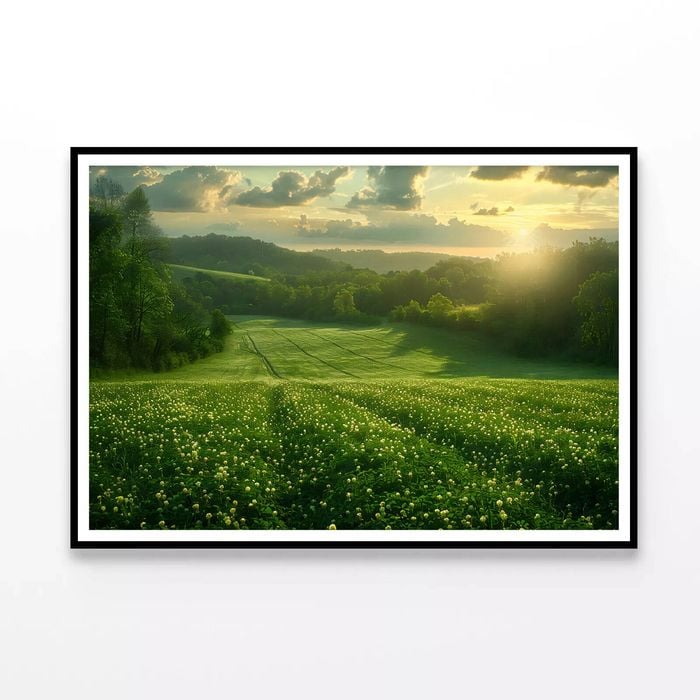 Green Field with Sun Rays  Print 100% Australian Made 90x60cm  (Poster)