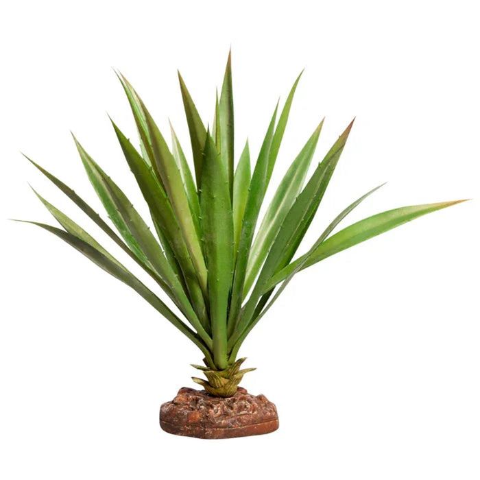 Reptile One Plant Large Succotrina Green With Ceramic Base