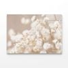 Dry Little White Flowers  Print 100% Australian Made 50 x 40cm  (Acrylic)