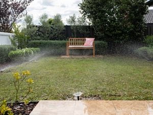 Water the lawn with pop up sprinkler