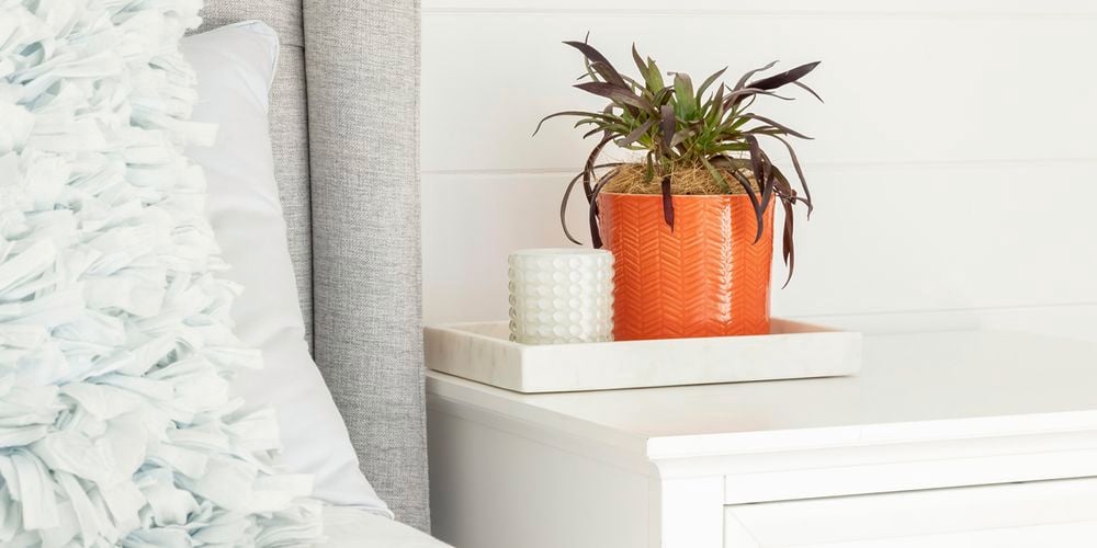 Borralheira
  13cm Orange Herringbone Indoor Plant Pot 0428721