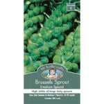Mr Fothergill's Brussel Sprouts Evesham Special Seeds