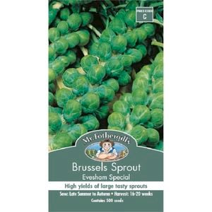 Mr Fothergill's Brussel Sprouts Evesham Special Seeds