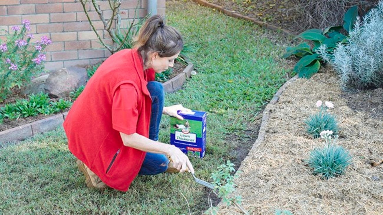 A Bunnings team member laying lawn thickener