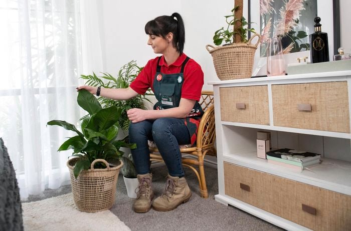 Person sitting in occasional wicker chair, caressing their plant.