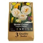 Yarra Valley Bulbs Daffodil Bridal Crown - 3 Pack
