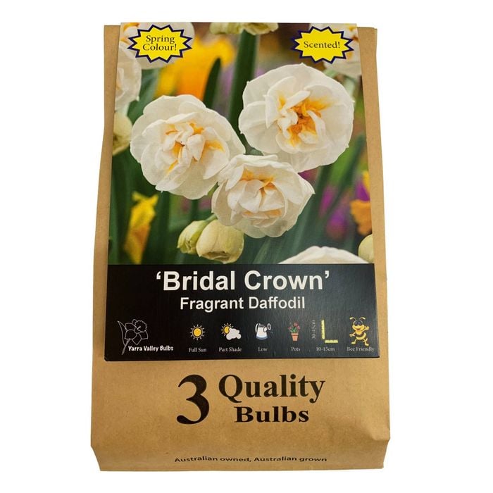 Yarra Valley Bulbs Daffodil Bridal Crown - 3 Pack