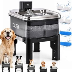 Advwin 8.5l Elevate Pet Water Fountain + 4 Pack Replacement Filter Stainless Steel Height Adjustable