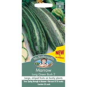 Mr Fothergill's Marrow Long Green Bush