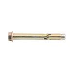 Ramset 8 x 65mm DynaBolt Plus Hex Nut Bolt