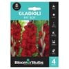 Bloomin' Bulbs Gladioli Fat Boy - Gladioli hybrid - 4 Pack