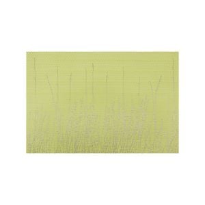 Icon Chef Large Placemats - Set of 6 - Field