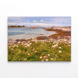 Field Of Flowers Next To Ocean  Print 100% Australian Made 75 x 50cm  (Stretched)