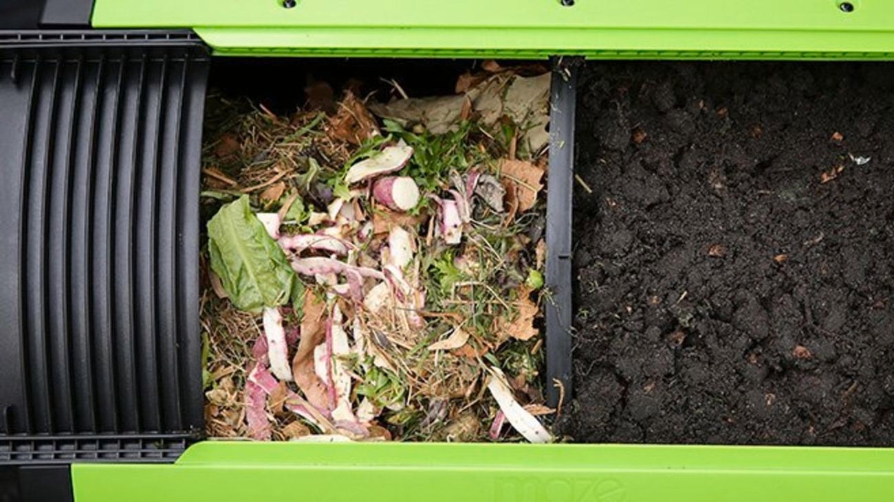 Soil and compost in compost bin.