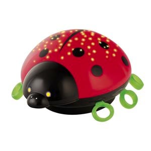 Arlec LED Lady Bug Night Light