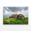 National Park Scenery with Rocks  Print 100% Australian Made 120 x 90cm  (Stretched)
