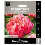 Bloomin' Bulbs Paeony Rose Coral Charm - Paeonia lactiflora hybrid