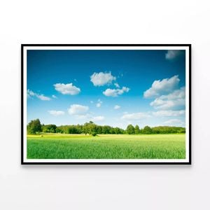 Field with Trees under Sky  Print 100% Australian Made 90x60cm  (Poster)