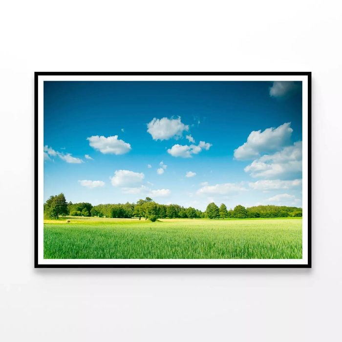 Field with Trees under Sky  Print 100% Australian Made 90x60cm  (Poster)