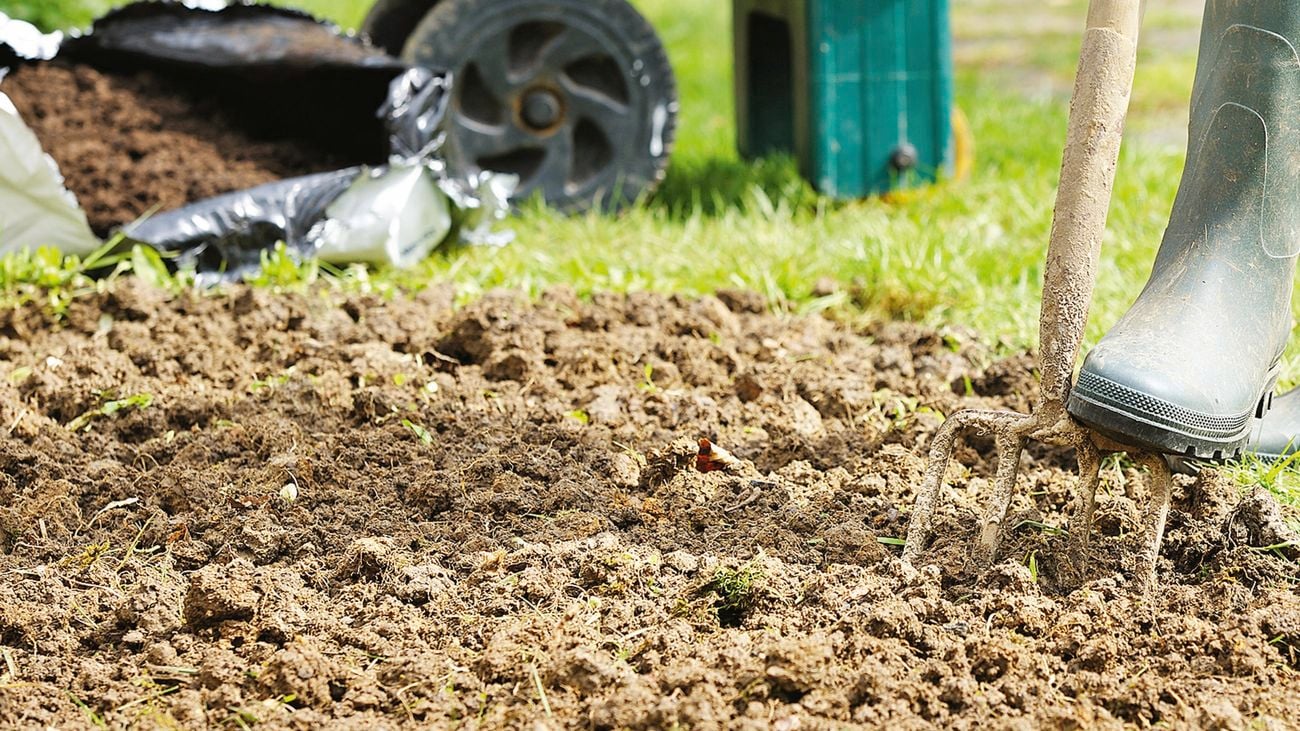 A gumboot presses a garden fork into the earth.