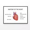Human Heart Cardiology Illustration  Print 100% Australian Made 120x90cm  (Poster)
