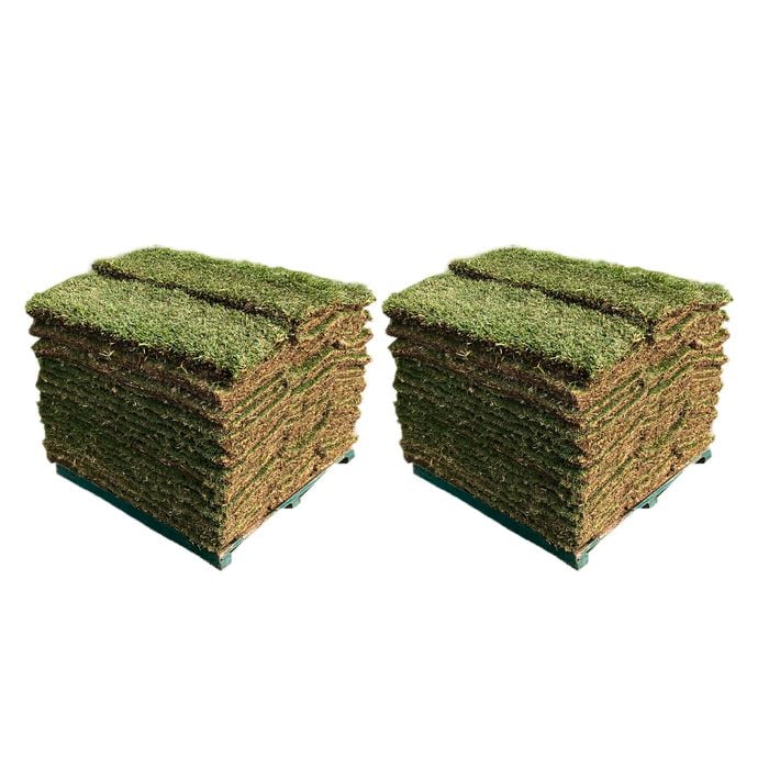 Sir Walter DNA Certified Buffalo 80m² Soft Leaf Buffalo Turf - Pallet